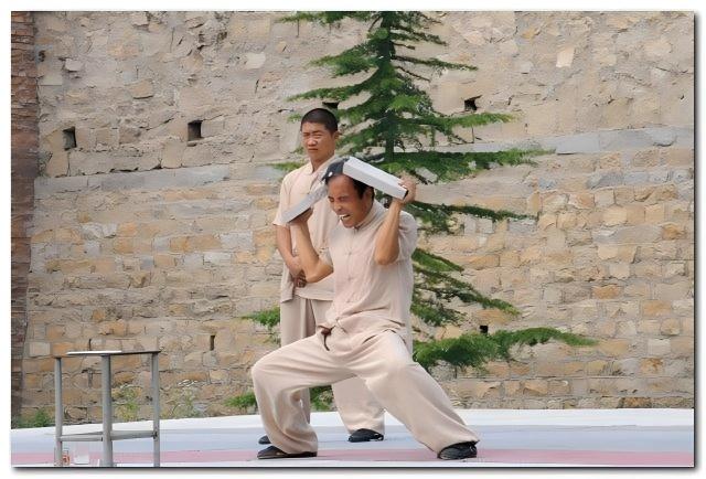 Jin Gang Li Gong: An internal martial art that has been passed down for two thousand years