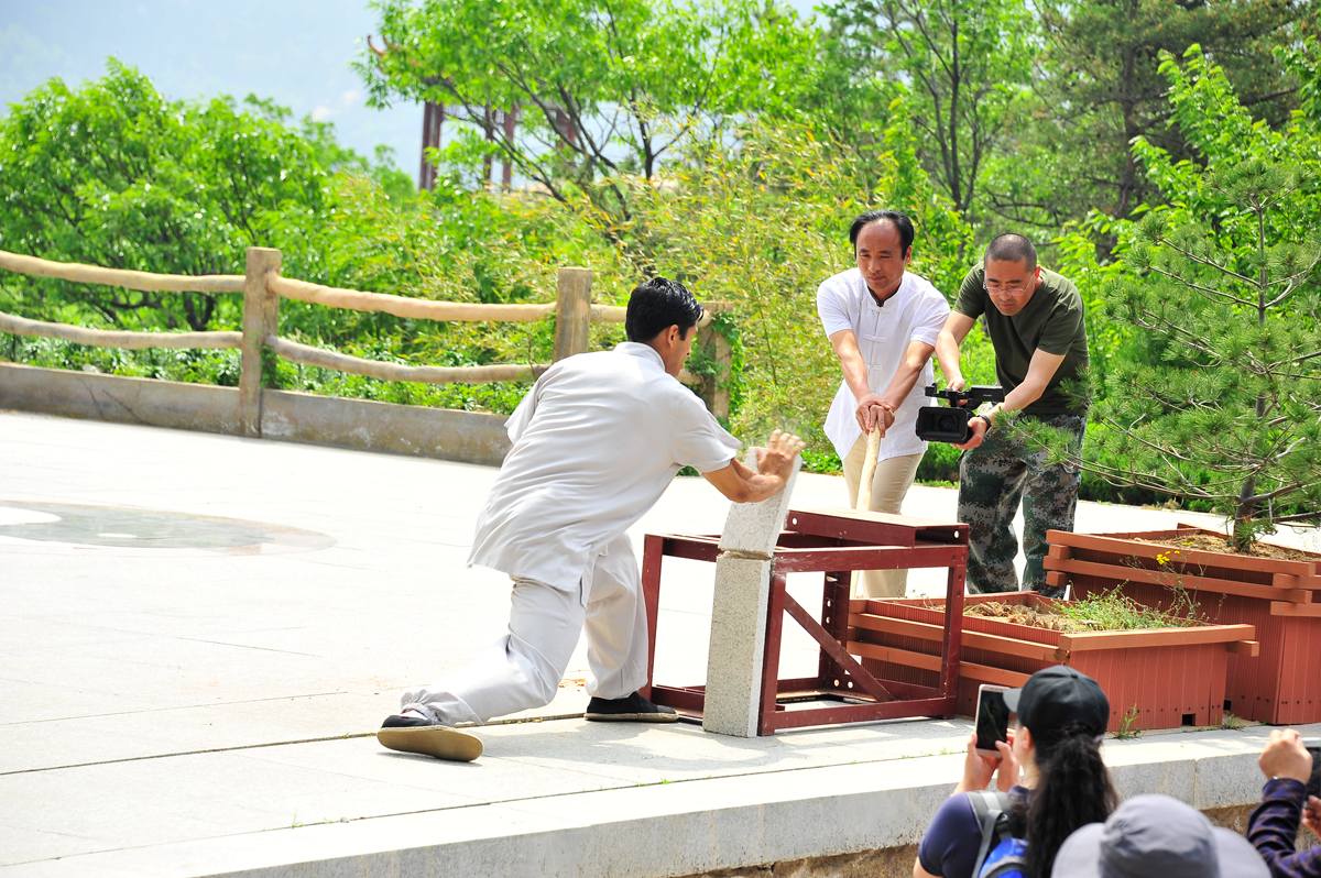One-Month Martial Arts and Qigong Introductory Course — Cultivate Body and Mind, Start Your Journey Now