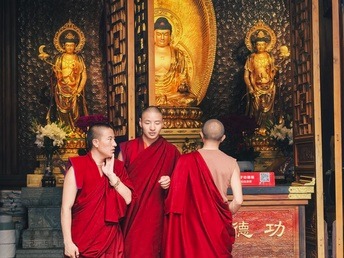 Buddhist Culture - Overseas university students majoring in humanities, history, and philosophy come to China for stu...