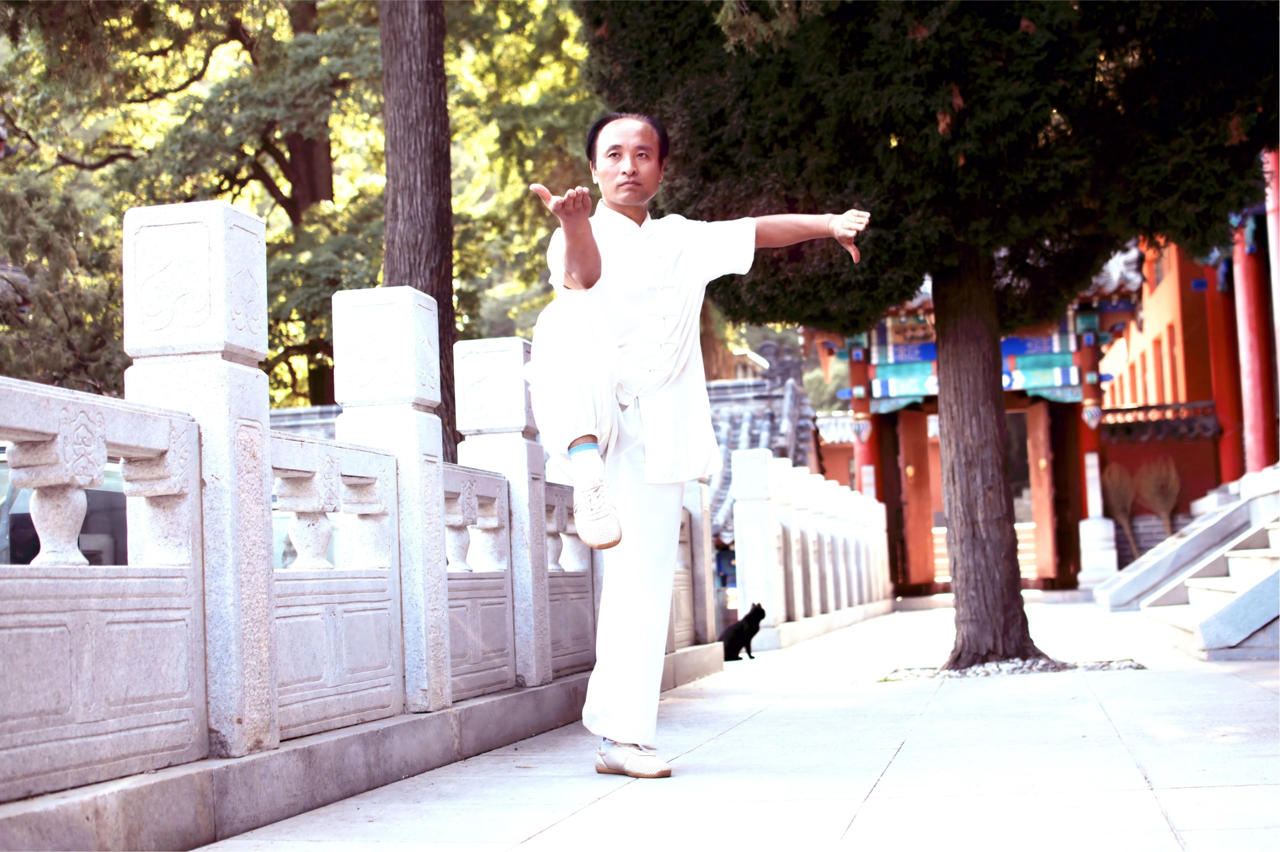 Principal Guo Xinmin's Personal Profile | Vice President of Sanya Wushu Association