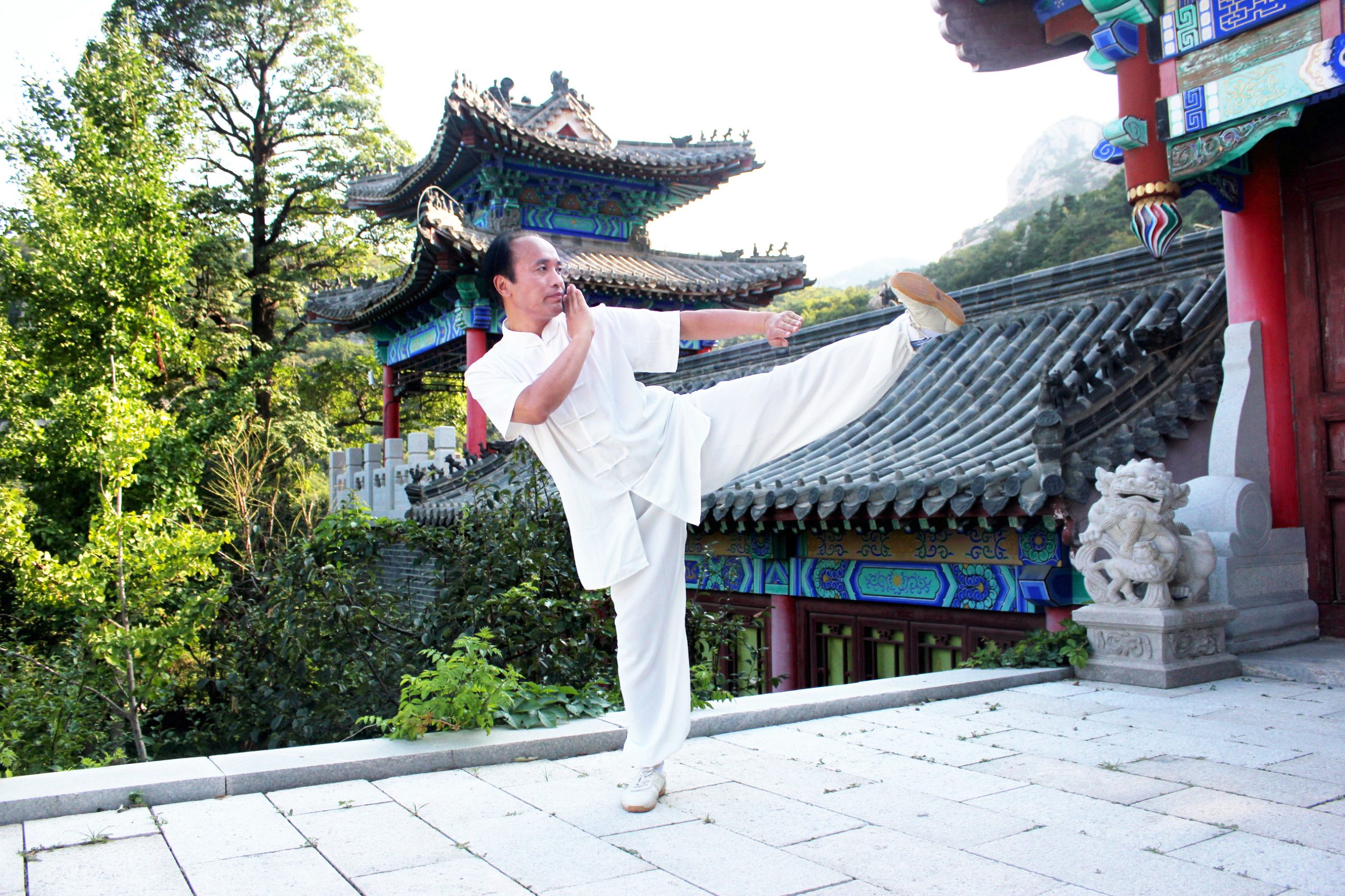 Wing Chun